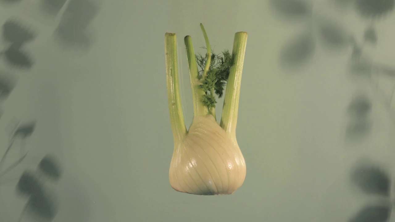 La Botanique des Amours