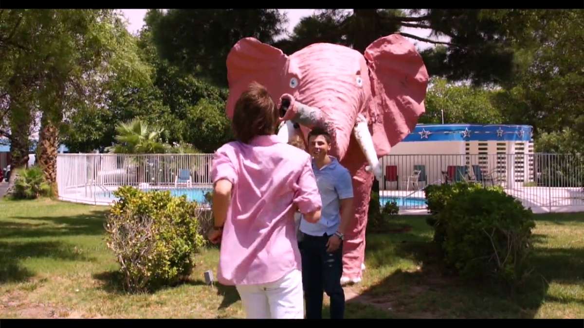 Pink Elephant