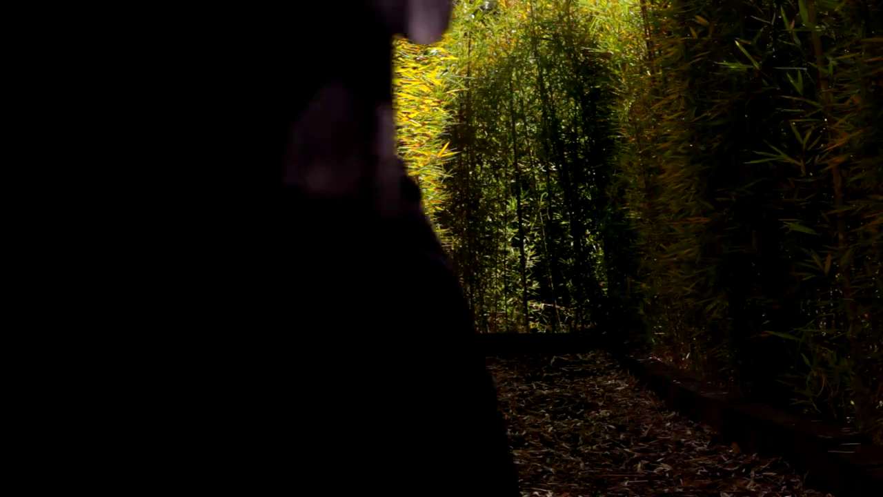 CRATOS: MEMORIAS DE UN VIAJERO INVOLUNTARIO