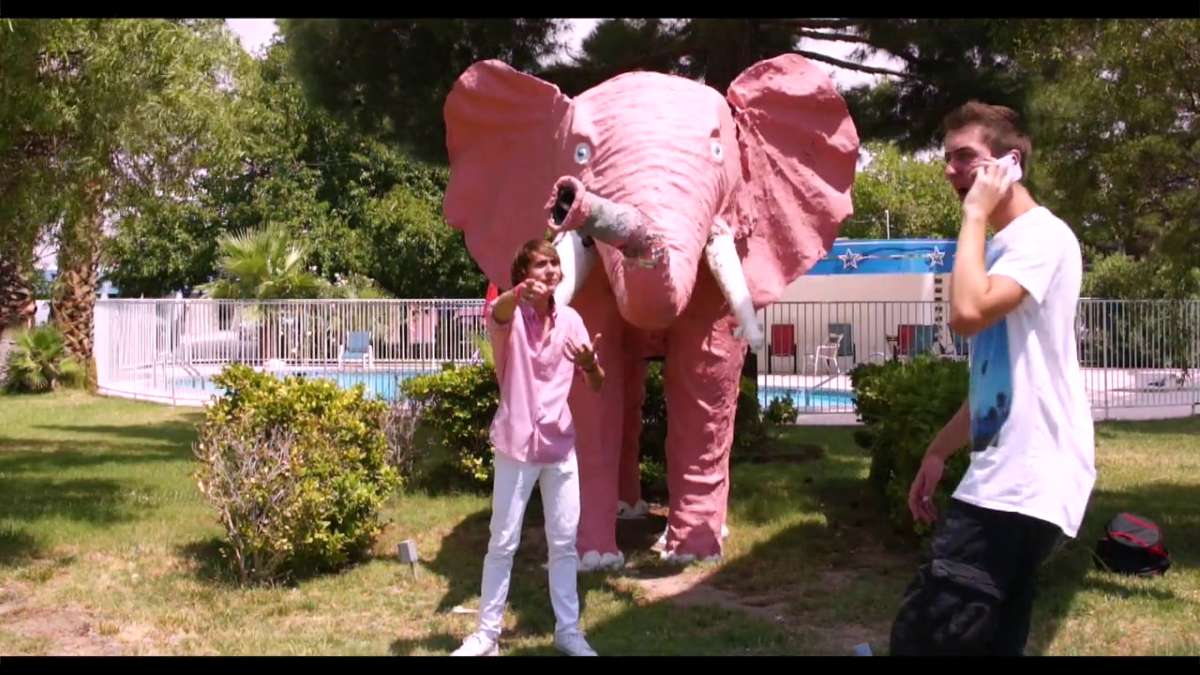 Pink Elephant