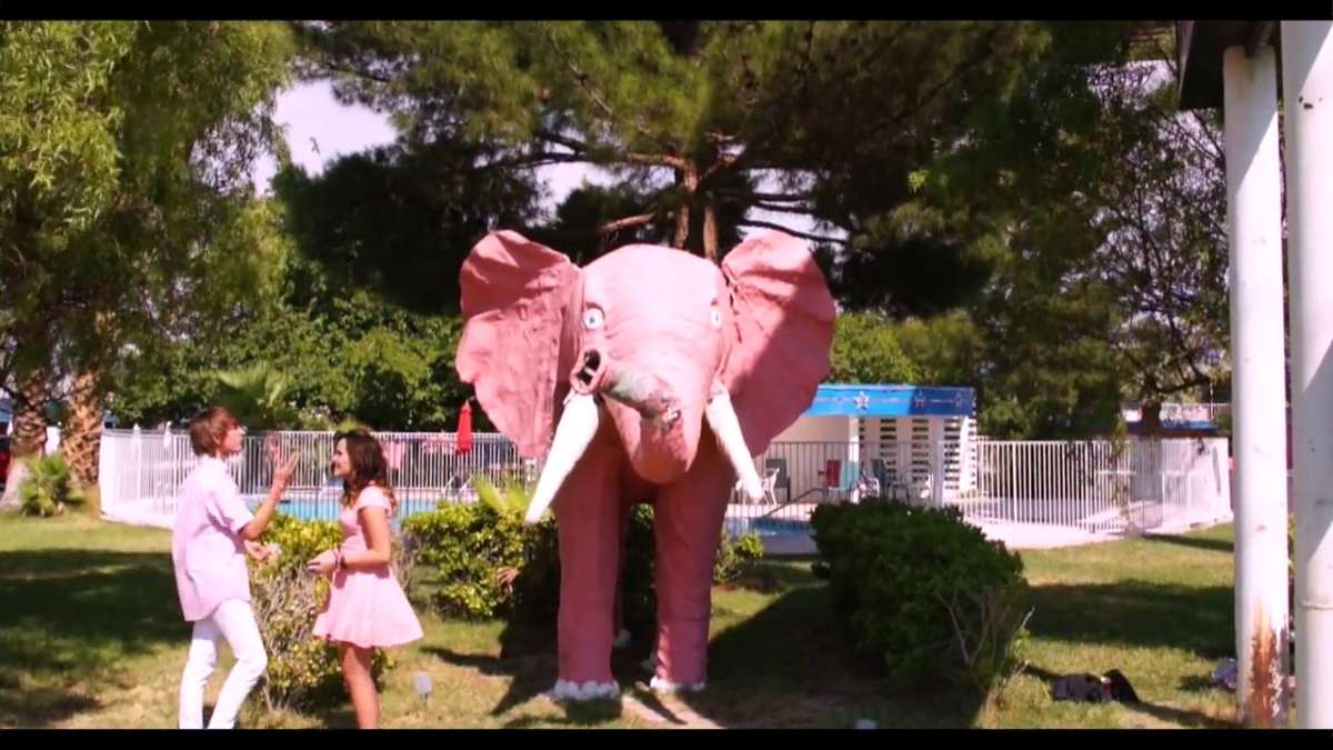 Pink Elephant