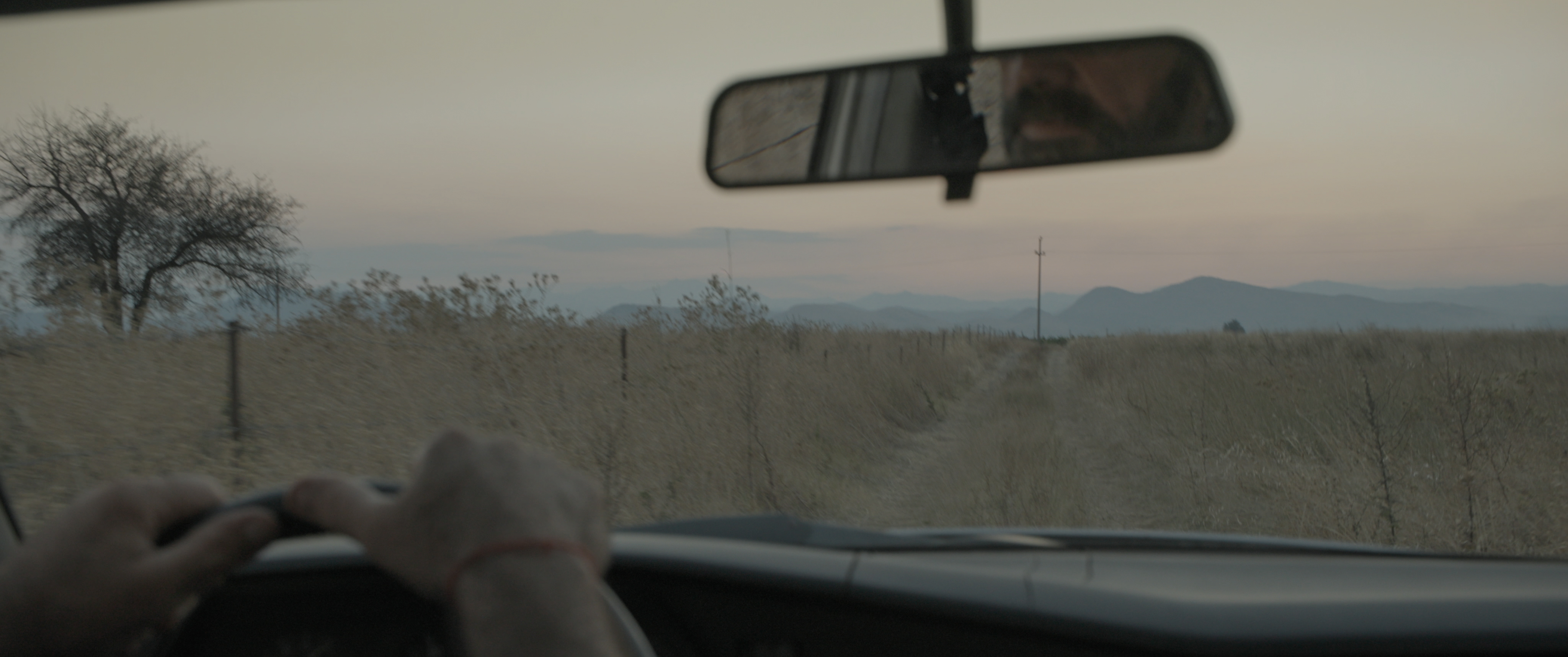 Taxi Driver